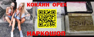 сатива Будённовск