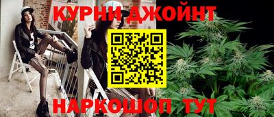 сатива Будённовск