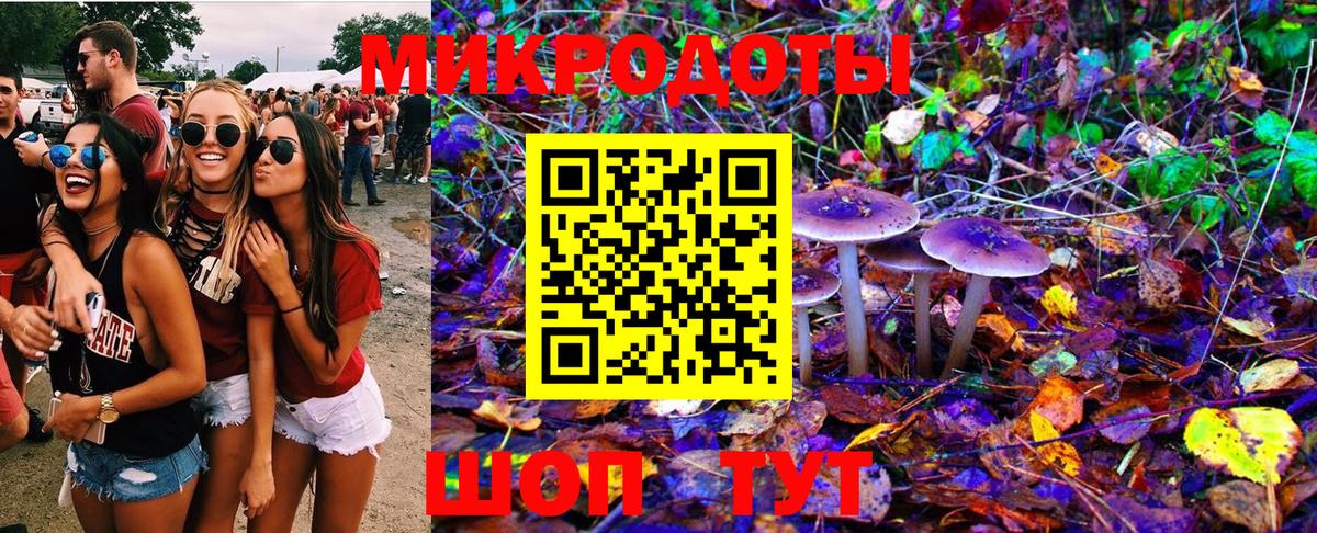 Галлюциногенные грибы Magic Shrooms  Вход с VPN  Псилоцибиновые грибы Magic Shrooms  Муром 